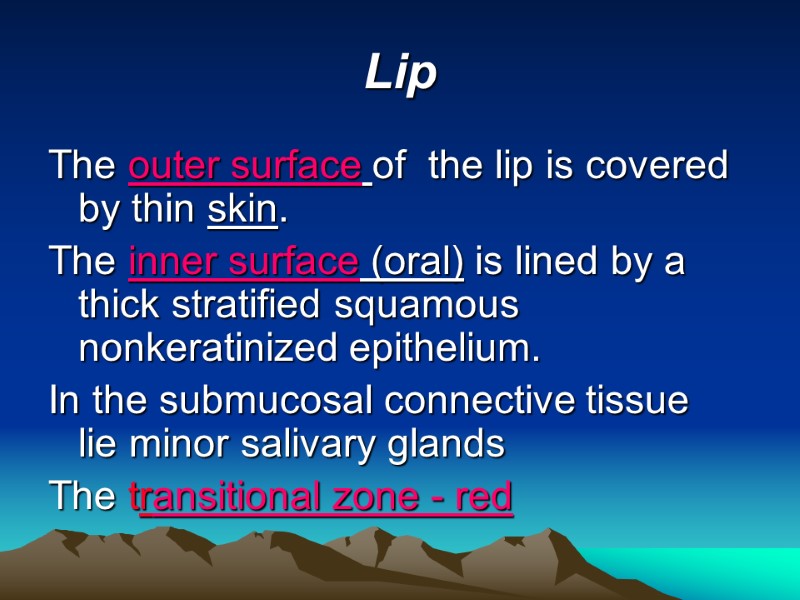 Lip The outer surface of  the lip is covered by thin skin. 